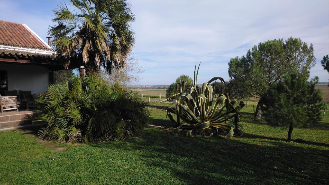Lodge Monte Do Sobral Alcacovas Exterior photo